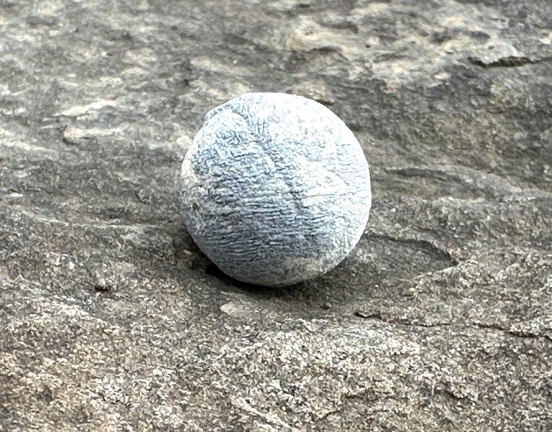 N/A