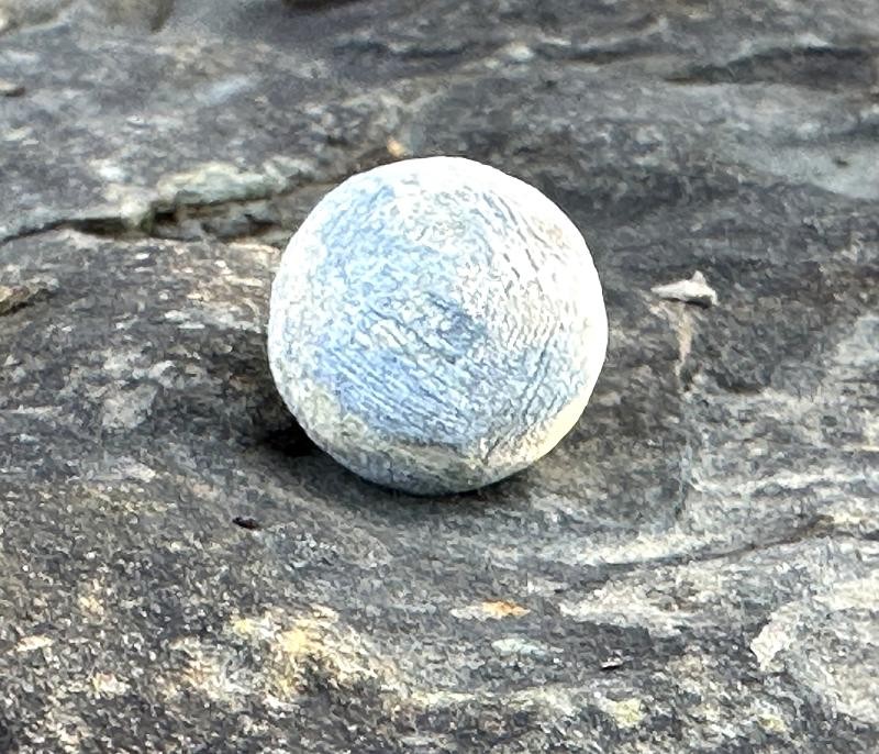 Click here to see the details of this item